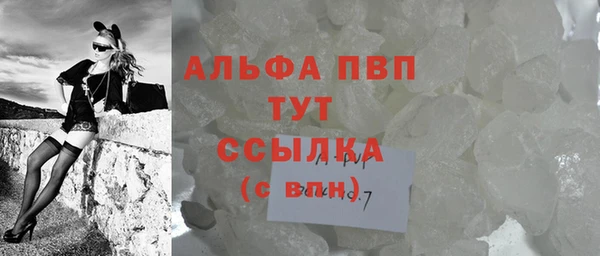 гашик Володарск