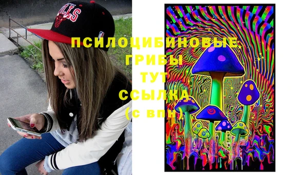 гашик Володарск